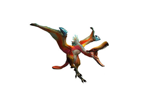 怪物猎人P3红彩鸟详细资料及打法